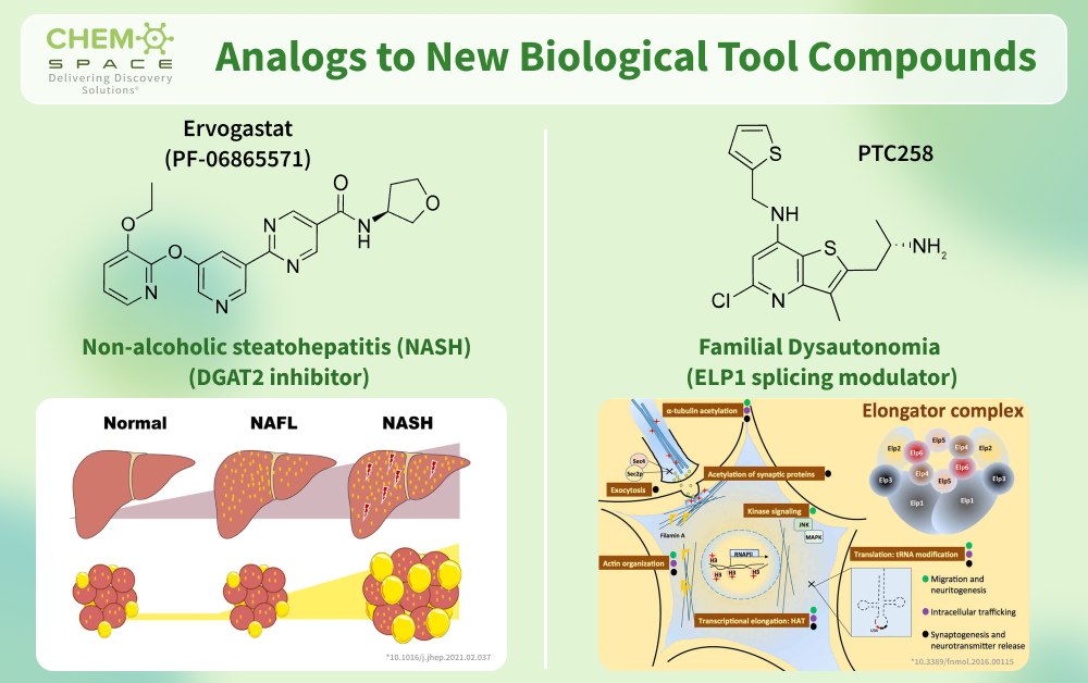 Chemspace offers Analogs to New Biological Tool Compounds | Ervogastat (PF-06865571) | PTC258